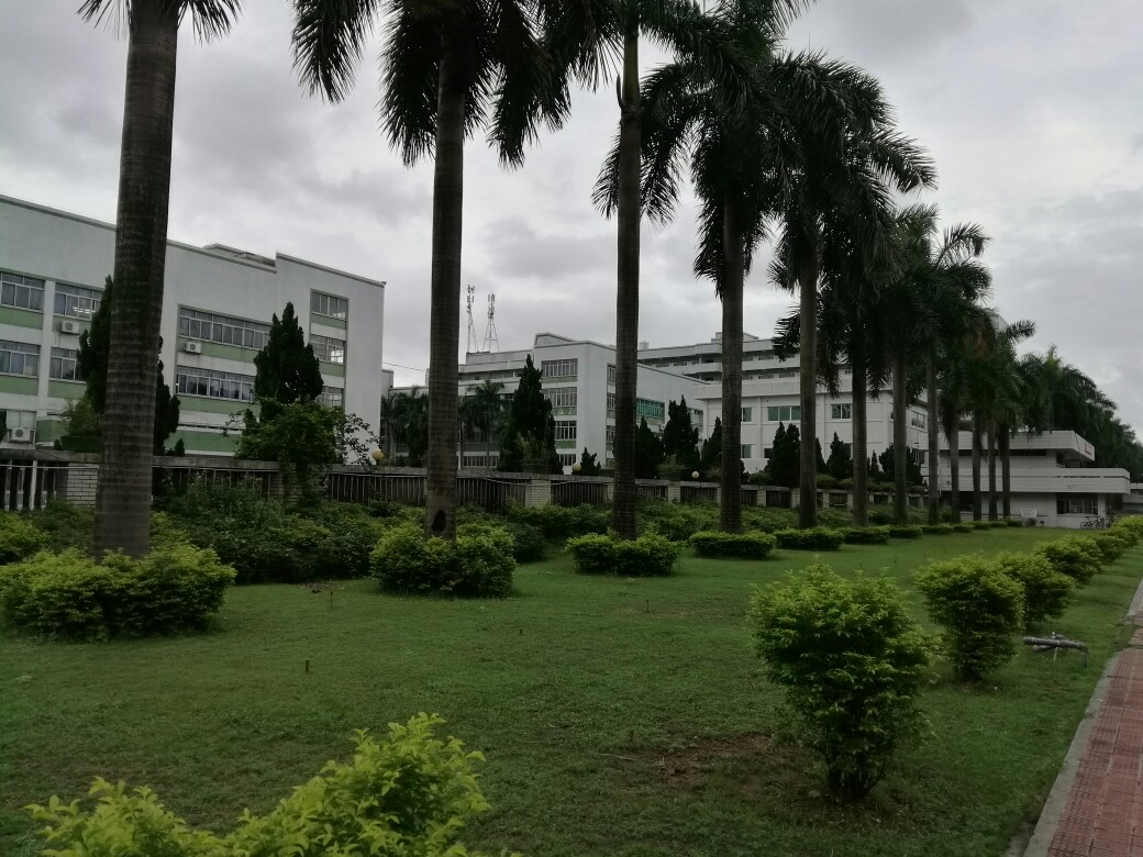 ��ɽ��ԪЬ�S